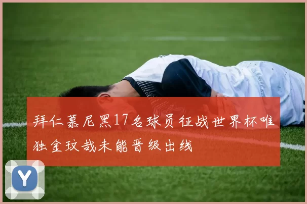 拜仁慕尼黑17名球员征战世界杯唯独金玟哉未能晋级出线